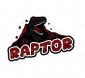 E Raptor Winkel